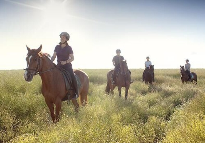 impression-reiten-1